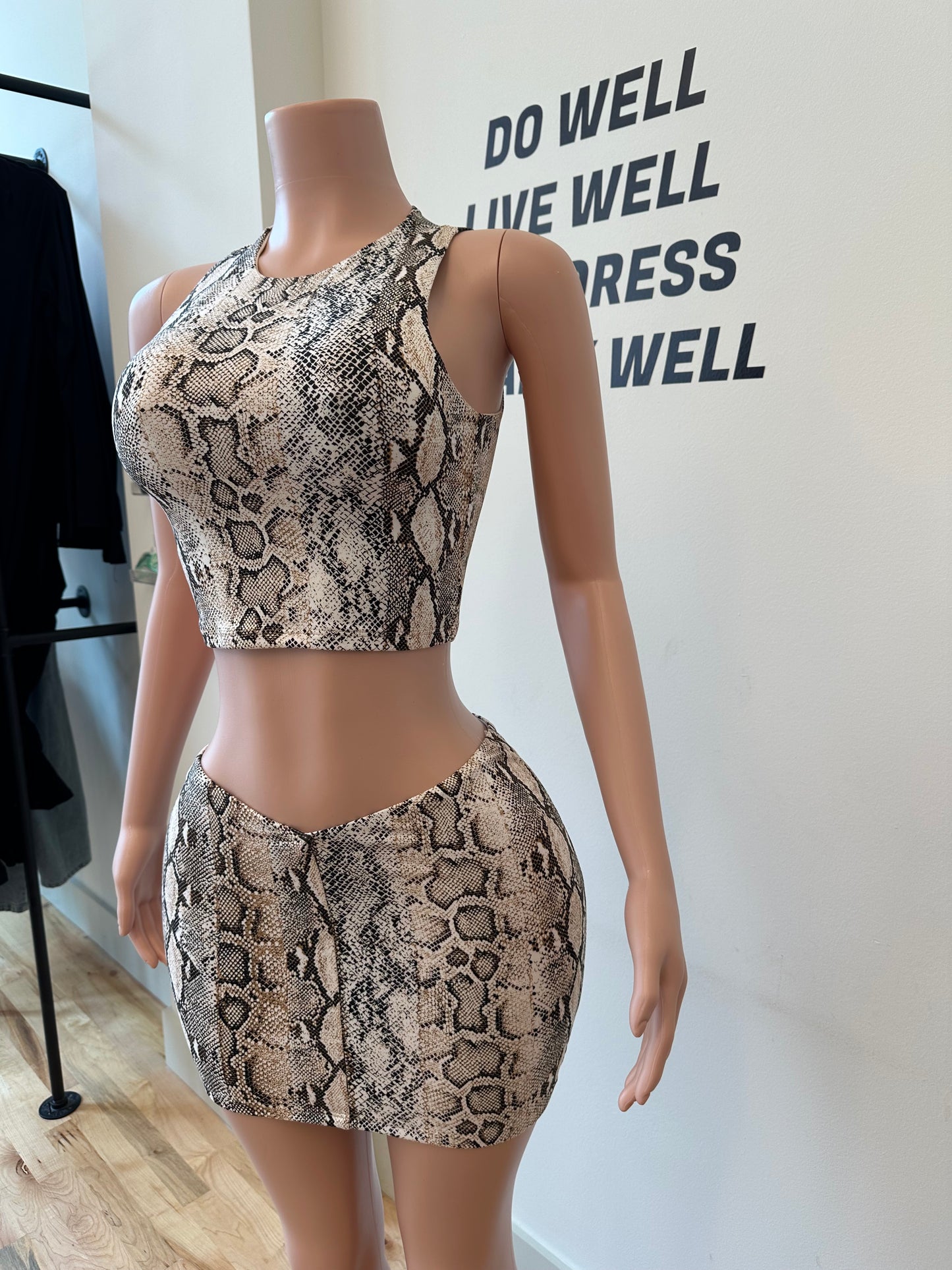 Miami Snake Print Mini Skirt Set